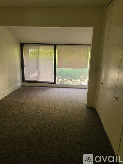 A room with a carpeted floor and a sliding glass door leading to a garden.