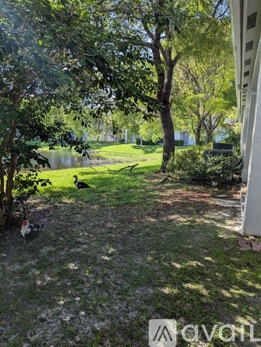 A backyard with a lawn, trees, and a bird on the ground.