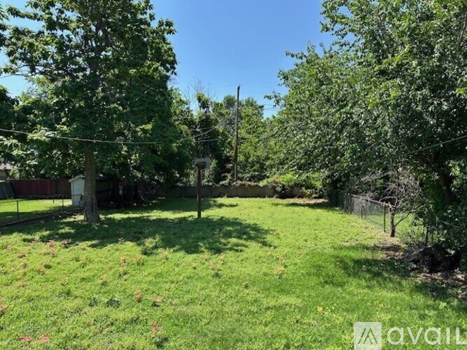 A backyard with a lawn and trees.