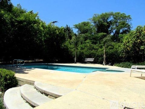 A pool surrounded by trees and a concrete patio.