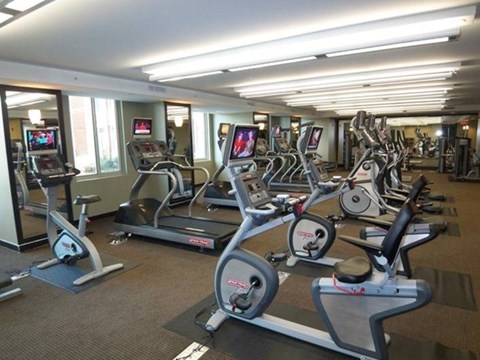 A gym with treadmills and elliptical machines.