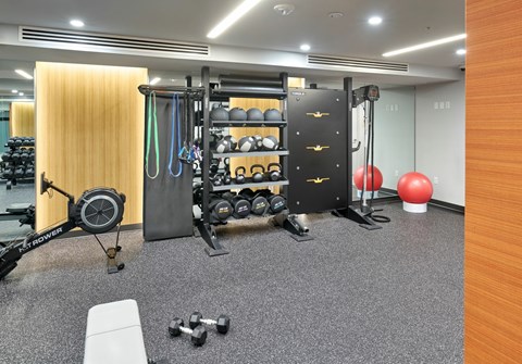 A gym with a variety of equipment including weights and a bench.