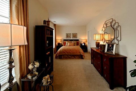 A bedroom with a bed, dresser, and lamp.