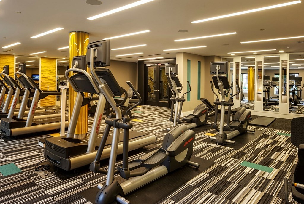 A gym with treadmills and elliptical machines.