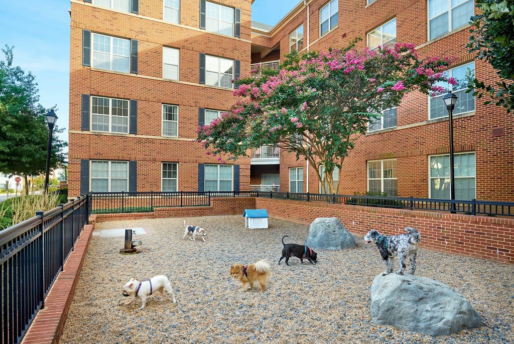 A dog park with several dogs playing in front of a brick building.