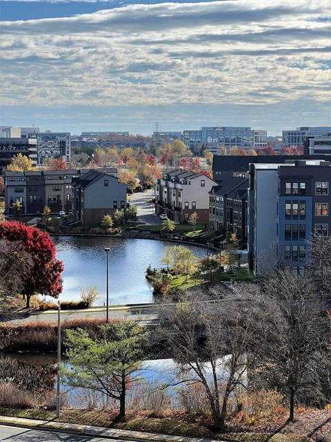 A view of a lake surrounded by buildings and trees.