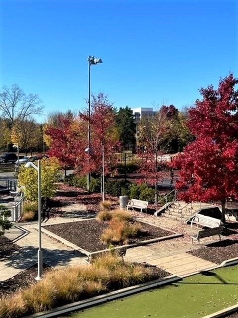 A park with a bench and a tree with red leaves.
