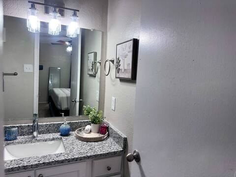 A bathroom with a sink, mirror, and a plant.