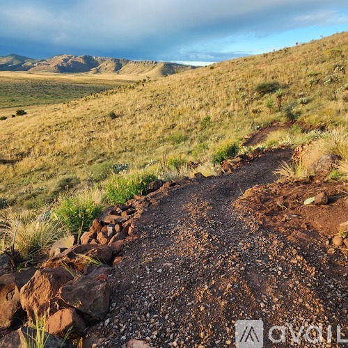 A dirt path with rocks on the side leads through a grassy field.