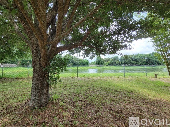 A tree in a grassy area with a fence in the background.