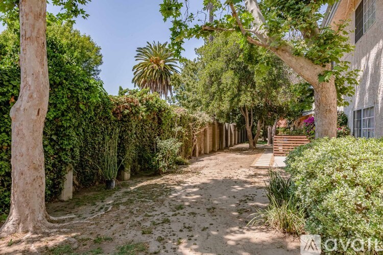 A pathway lined with trees and plants leads to a building.