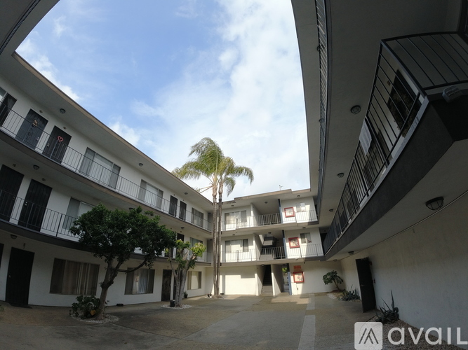 A courtyard between two buildings with trees and plants.