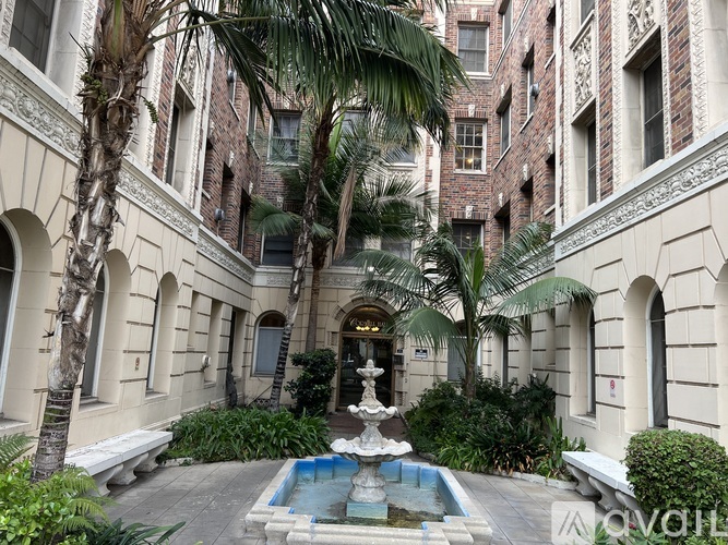 A courtyard with a fountain and palm trees.