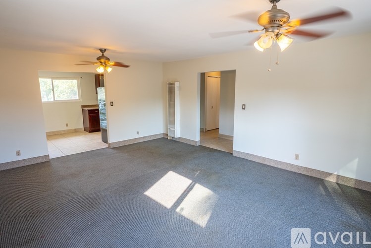 A spacious room with a ceiling fan and a carpeted floor.