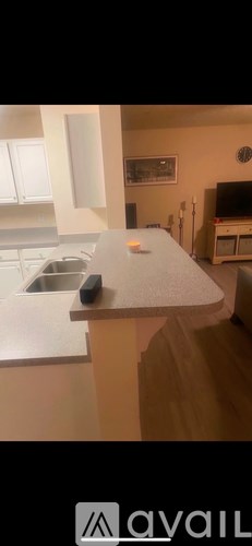 A kitchen with a sink and a countertop.
