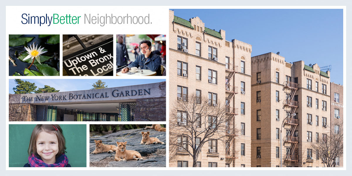 a collage of photos with buildings and a dog