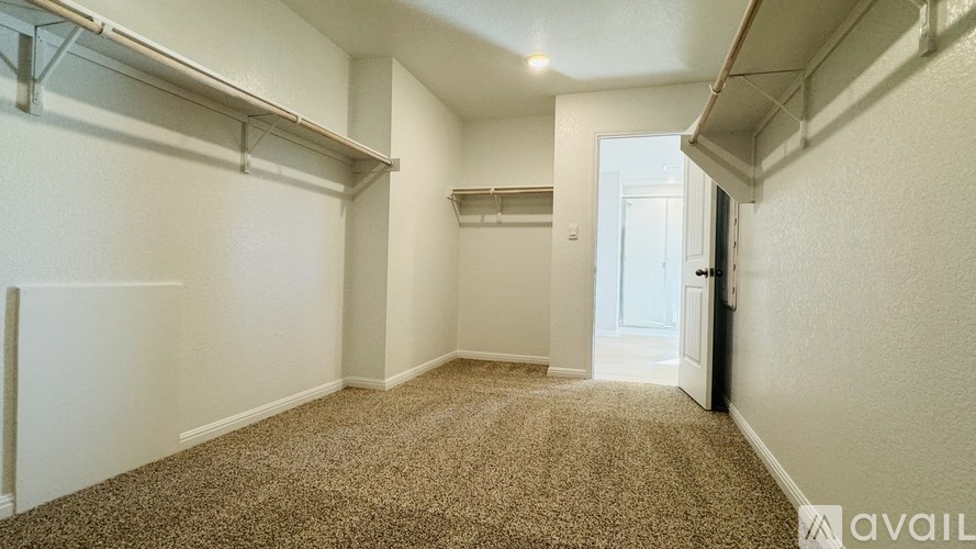 A carpeted room with a door and a window.