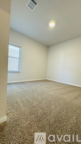 A room with a carpeted floor and a window.