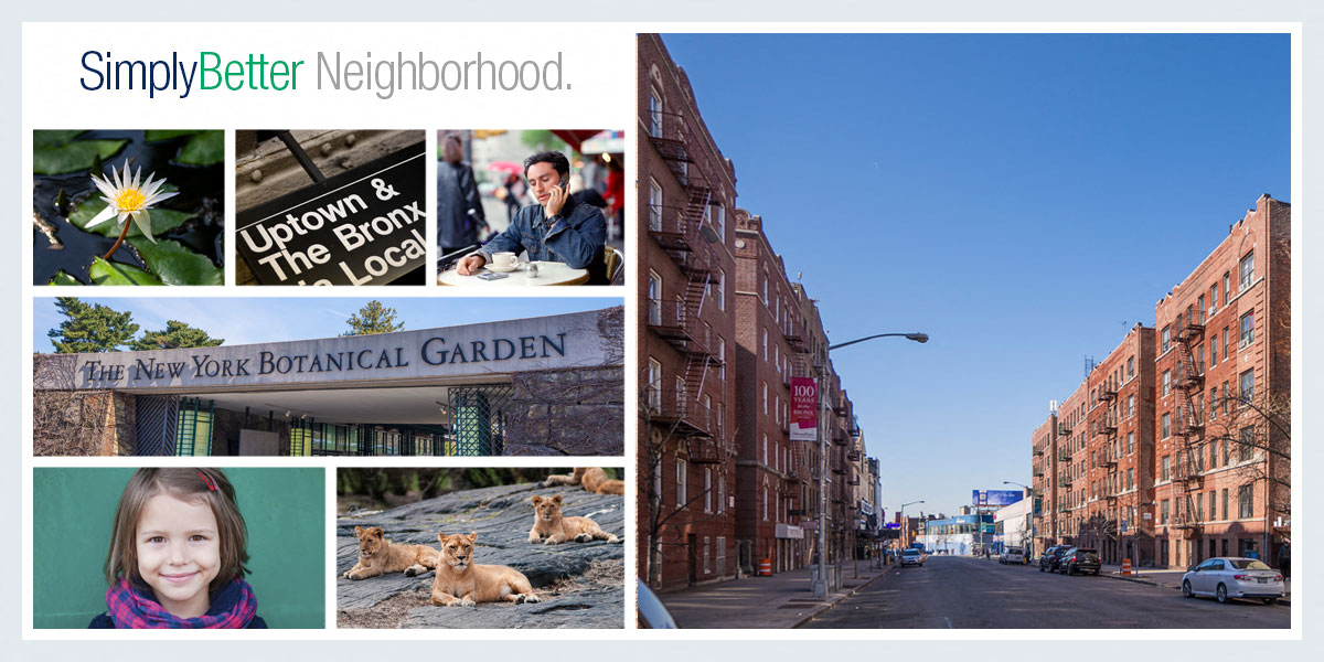 a collage of photos of a city street and a dog
