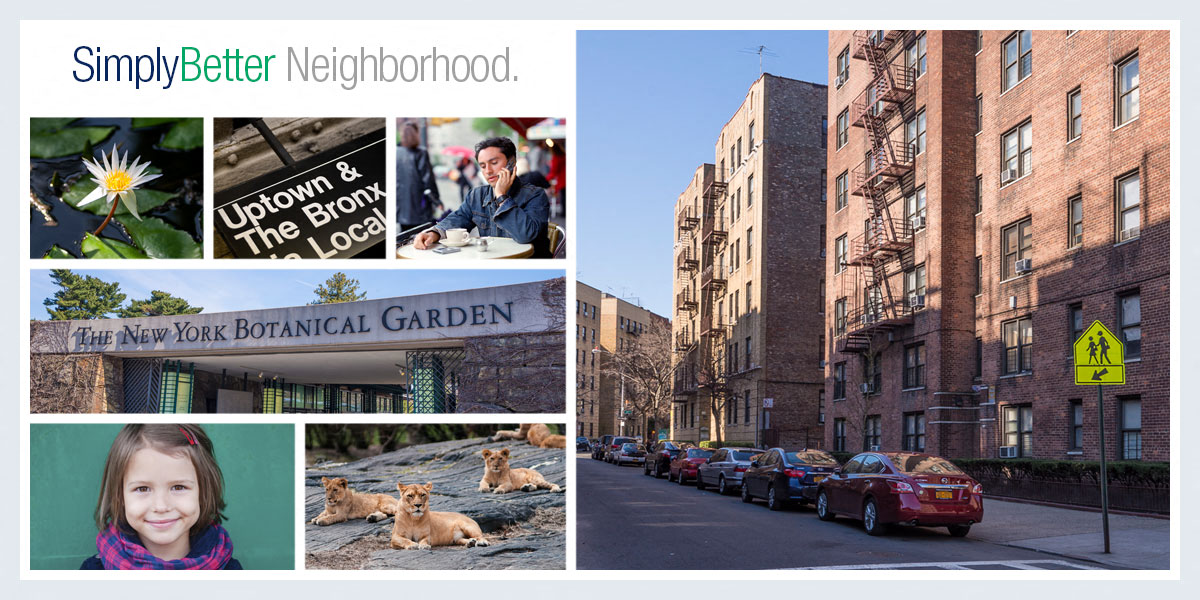 a collage of photos with buildings and a dog