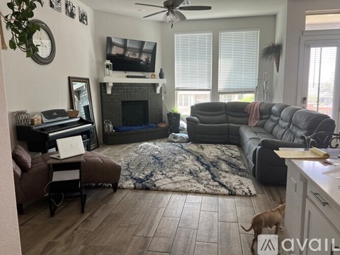 A dog is standing in a living room with a grey couch and a fireplace.
