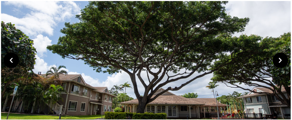 A large tree in front of a house.