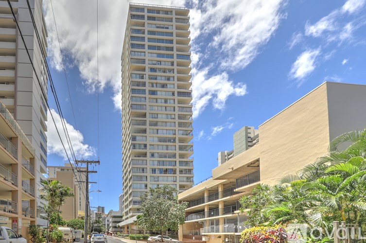 A tall building with many windows stands in the middle of a street lined with palm trees.