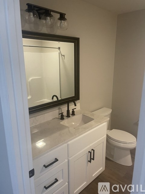 A bathroom with a white toilet and a vanity with a mirror above it.