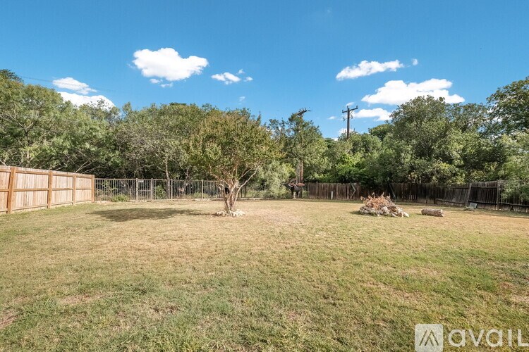 A backyard with a fence, trees, and a small tree in the center.