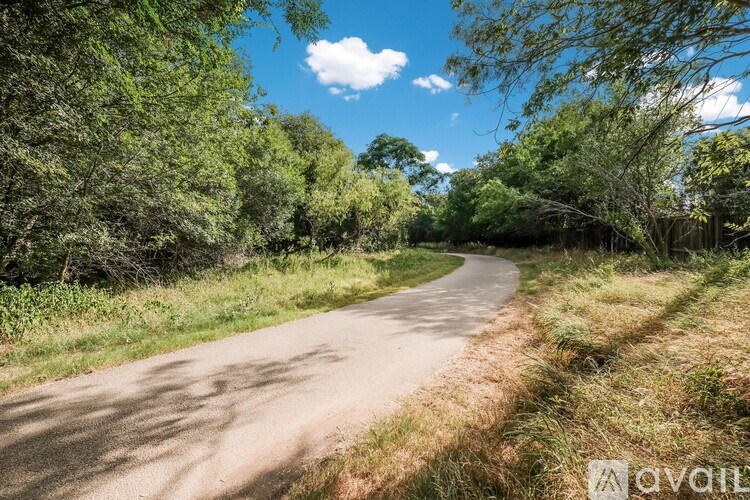A winding road through a lush green forest.