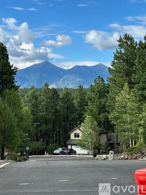 A mountain is in the background of a street with houses and trees.