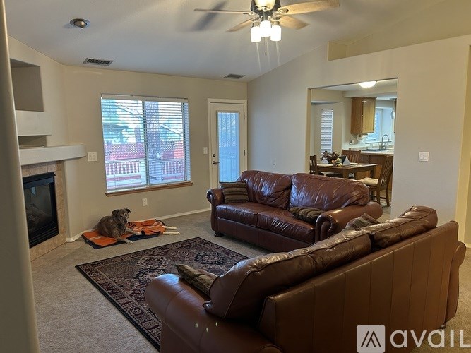 A dog is sitting on a rug in a living room with a brown leather couch.