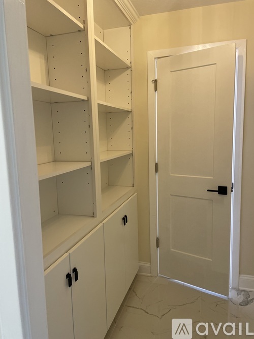 A white pantry with shelves and a door.