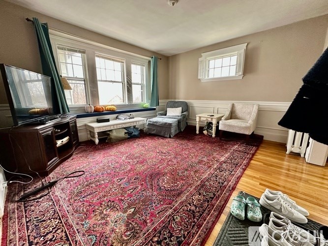 A living room with a rug, a couch, a television, and a pair of shoes.