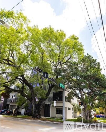 A tree with green leaves is in front of a building.