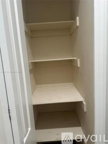 A white empty pantry with shelves and a door.