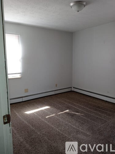 A room with a carpeted floor and a window letting in light.