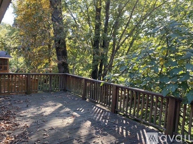 A wooden deck surrounded by trees.