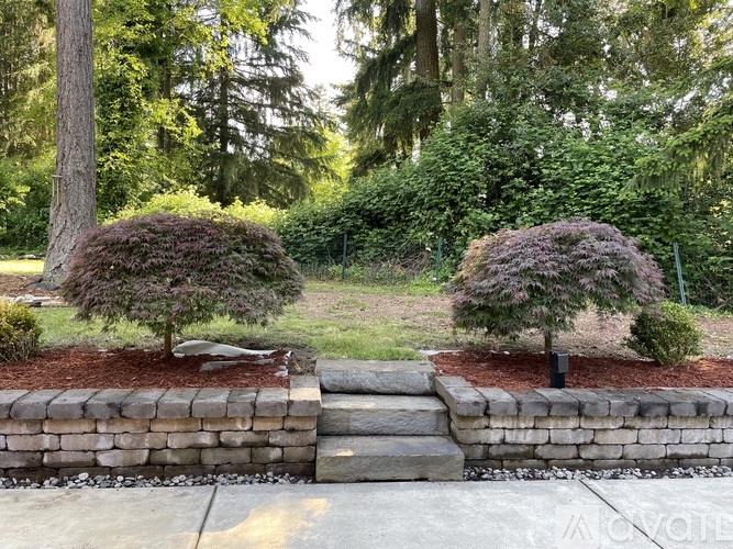 Two trees are planted in a landscaped area with a stone wall.