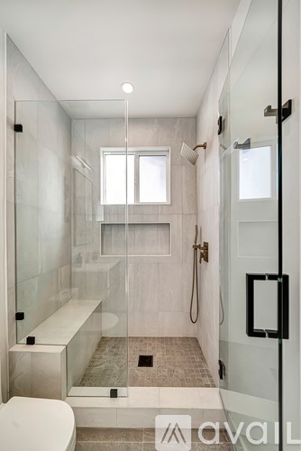A modern bathroom with a walk-in shower and a toilet.