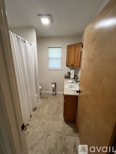 A bathroom with a walk-in shower and a sink.