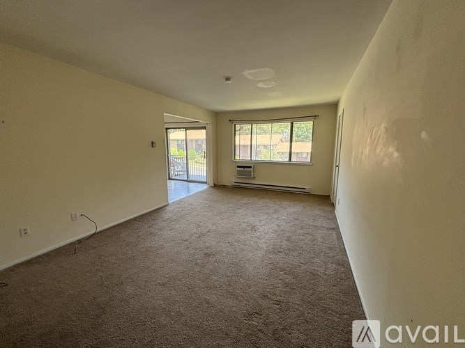 A spacious room with carpeted floor and two windows.