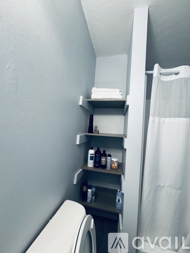 A small bathroom with a toilet, a shelf with bottles and a shower curtain.