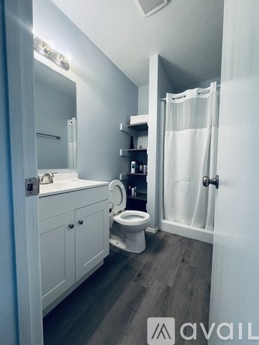 A bathroom with a toilet, sink, and a white shower curtain.
