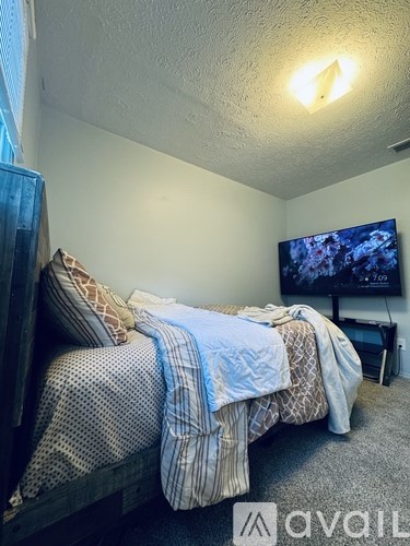 A bedroom with a bed, a television, and a carpet.