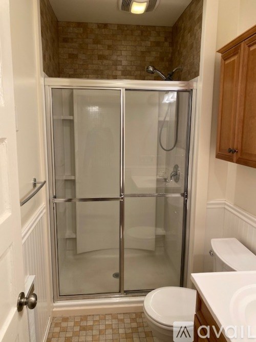 A bathroom with a walk-in shower and a toilet.