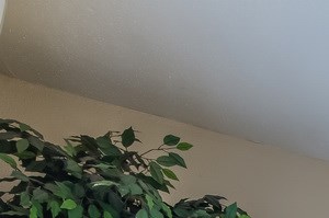 san antonio tx apartments for rent rentcafé