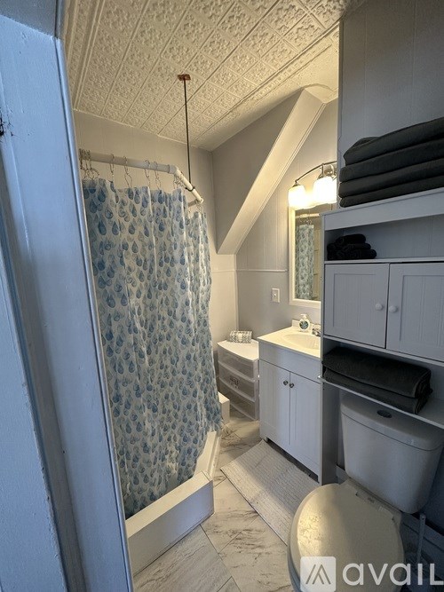 A bathroom with a shower curtain and a toilet.