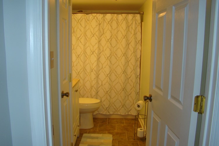 A bathroom with a toilet, a shower curtain and a mat on the floor.