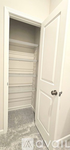 A white door is open to a pantry with shelves.